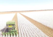 Fuel-related pressures on farmers are intensifying: Rural Aid