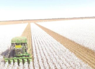 Fuel-related pressures on farmers are intensifying: Rural Aid