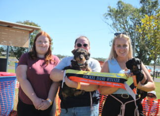Valerie the KI wonder dog a big hit at dachshund festivities