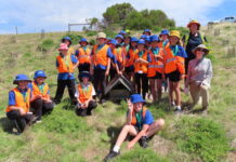 KICE students take action to protect KI’s little penguins