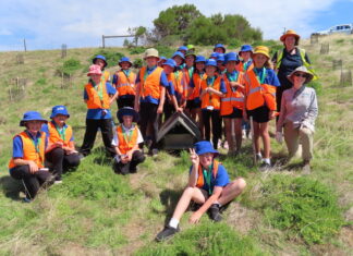 KICE students take action to protect KI’s little penguins