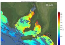 Testing shows zero, low levels of Karenia algae off KI