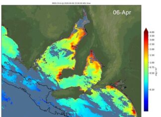 Testing shows zero, low levels of Karenia algae off KI