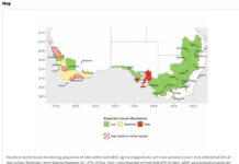 Growing mouse activity tipped on Kangaroo Island ahead of seeding
