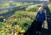 Native plant nursery opens to help Kangaroo Island grow local