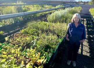 Native plant nursery opens to help Kangaroo Island grow local