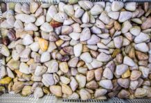 Bait and switch: Pipi decision backflip