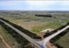 New agriculture focus for Kiland comes at cost of 34 tree felling jobs